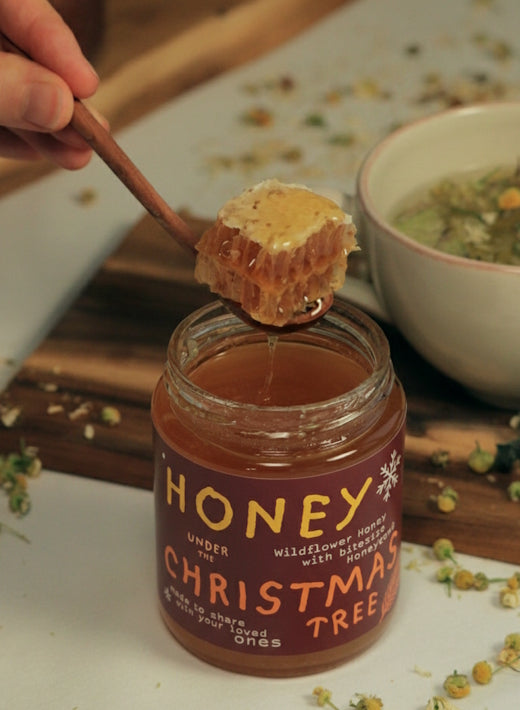 Honey under the christmas tree