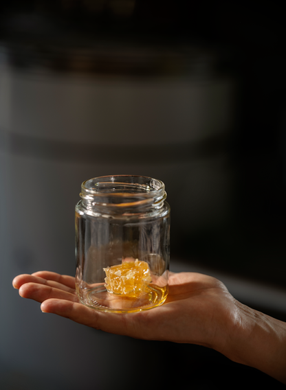 Twin Pack - Season 25 Honey